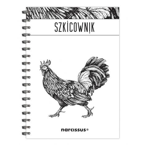 Kołoszkicownik Narcissus B5/60/120g Kogut